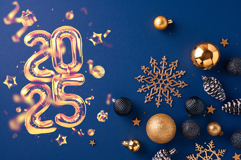 Mindoro Group (Pty) Ltd - 2025 Year In Review & Merry Christmas!