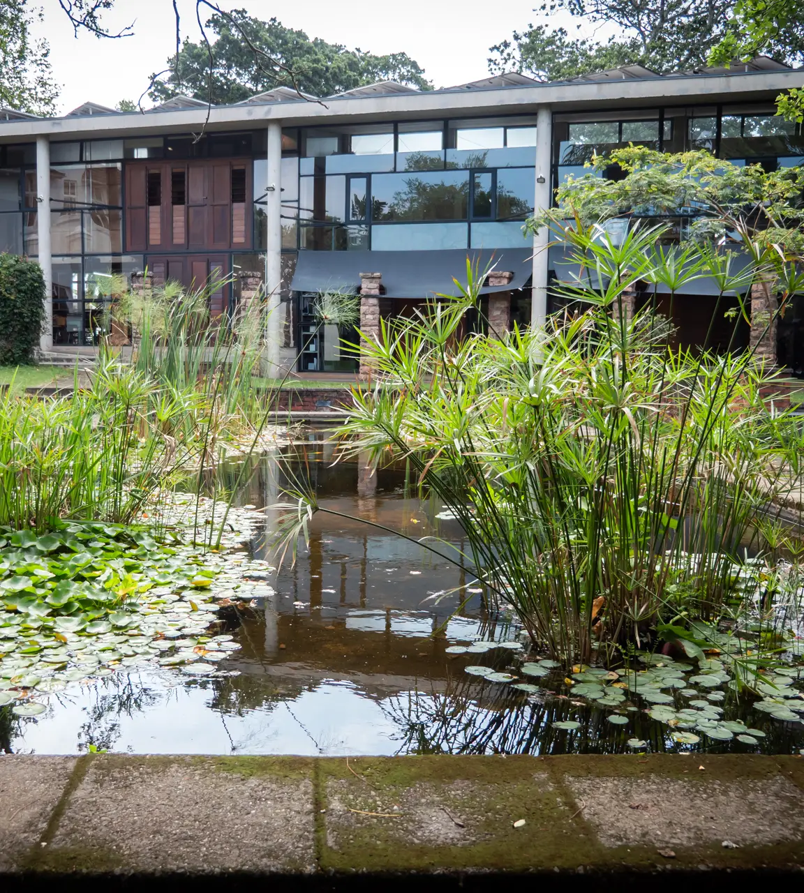 Mindoro Group (Pty) Ltd - Kloof Financial Services Provider