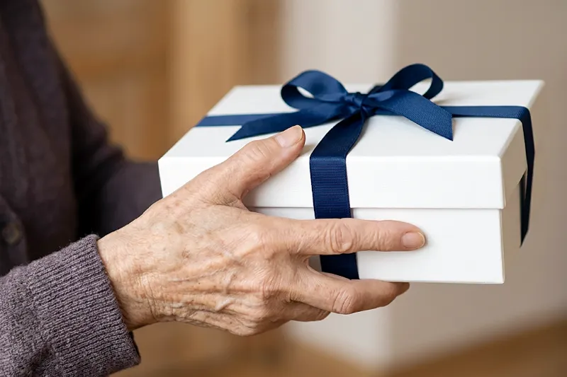 Mindoro Group (Pty) Ltd - Blog Article: The Retirement Annuity Gift With Clever Planning